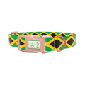 Jamaican Flag Dog Collar - plastic gold