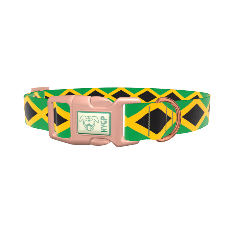 Jamaican Flag Dog Collar - plastic gold