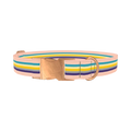 Multicolor Stripes Dog Collar - metal rose gold