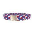 Fishing Bobber Dog Collar - metal silver