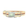 Colorful Hexagon Dog Collar - plastic silver