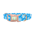 Blue Festive Snowflake Dog Collar - plastic rose gold