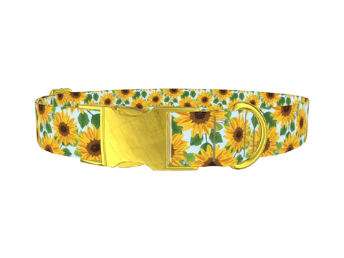 SUNFLOWER_2