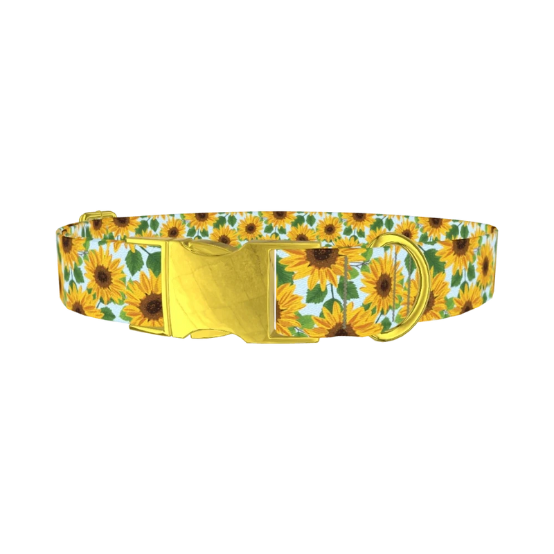 Sunflower Garden Dog Collar - metal gold