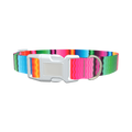 Wavy Rainbow Stripe Dog Collar - plastic gold