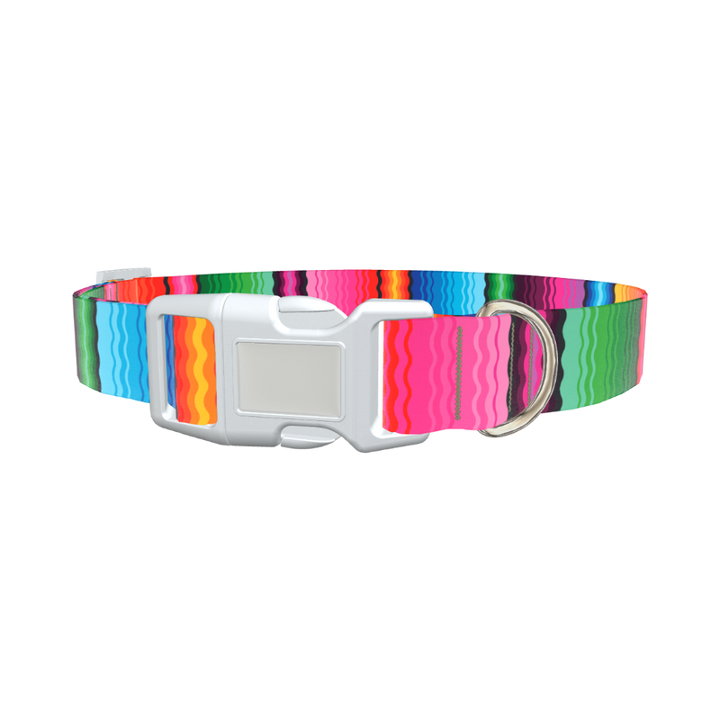 Wavy Rainbow Stripe Dog Collar - plastic gold