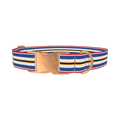 Patriotic Stripe Dog Collar - metal rose gold