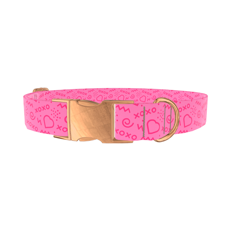 Geometric Valentine XO Dog Collar - metal silver