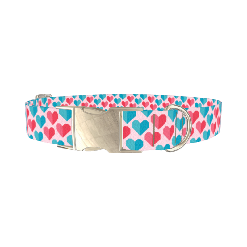 Geometric Colorful Heart Dog Collar - metal silver