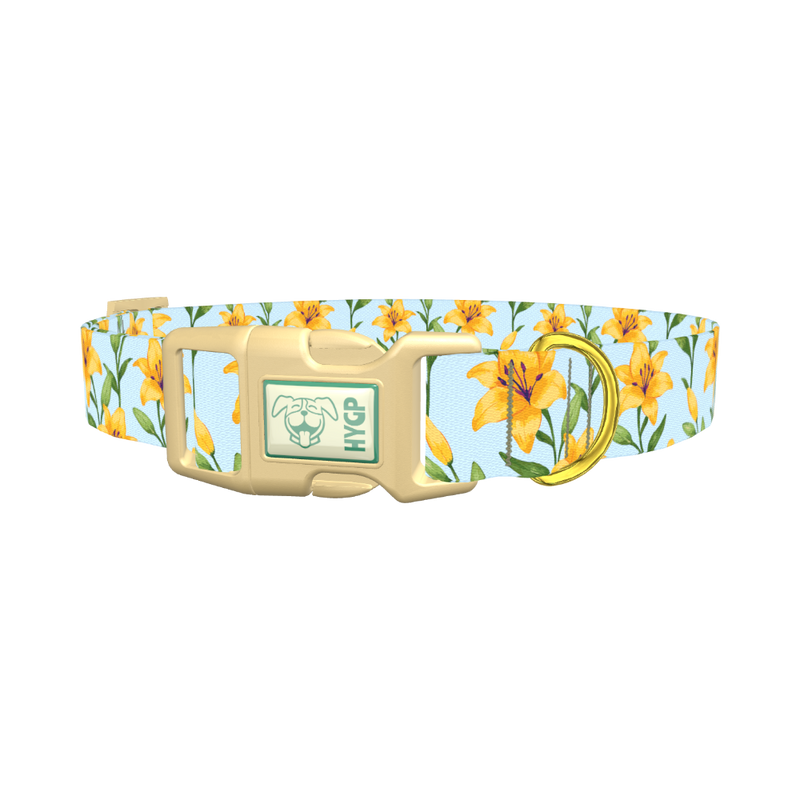 Floral Yellow Lily Dog Collar - plastic gold