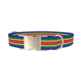 Multicolor Stripe Dog Collar - metal silver