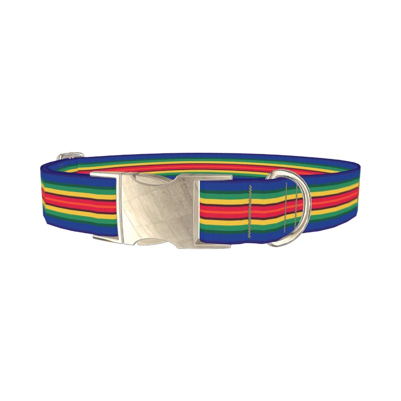 Multicolor Stripe Dog Collar - metal silver