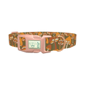 Autumn Field Mushroom Dog Collar - plastic rose gold