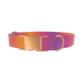 Gradient Pattern Dog Collar - metal rose gold