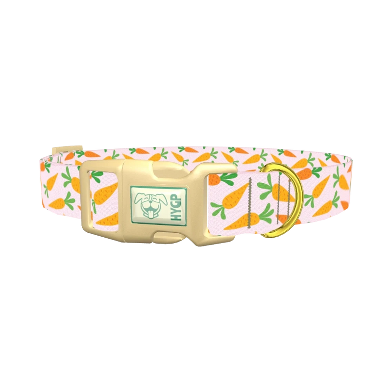 Carrot Garden Dog Collar - plastic gold