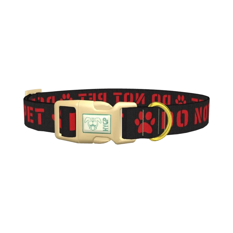 Warning Sign Dog Collar - plastic gold