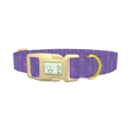 Purple Bow Pattern Dog Collar - plastic gold