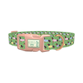 Green Dachshund Sweater Dog Collar - plastic rose gold