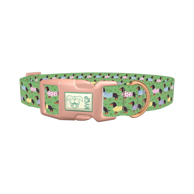 Green Dachshund Sweater Dog Collar - plastic rose gold