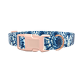 Spiral Tie Dye Dog Collar - plastic gold