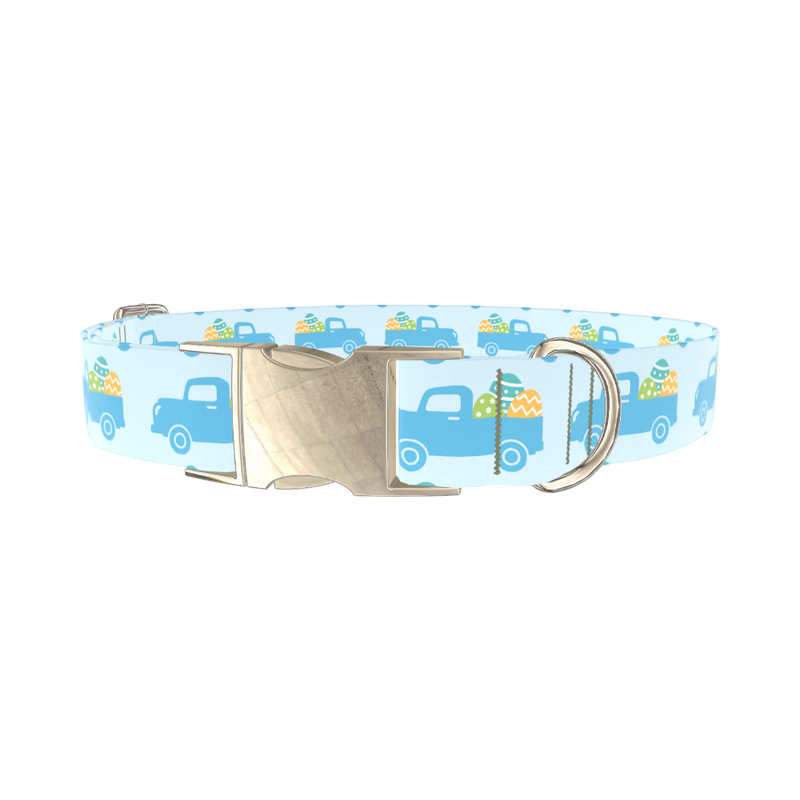 Easter Truck Dog Collar - metal silver