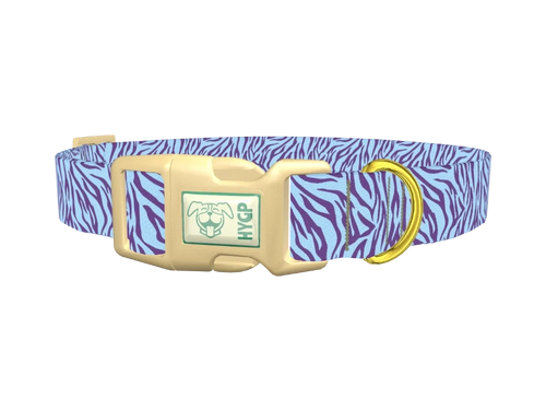Zebra Stripe Dog Collar