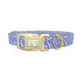 Zebra Stripe Dog Collar - plastic gold