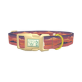Tropical Jungle Dog Collar - plastic gold