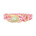 Pink Holly Berry Dog Collar - plastic gold