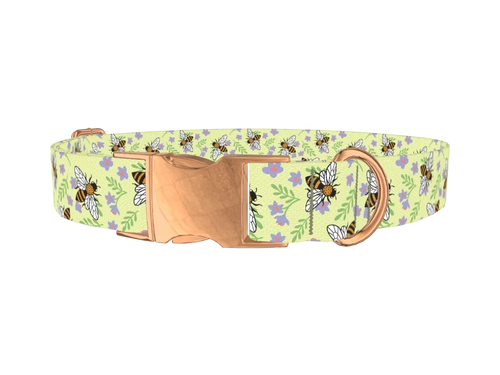 Floral Bee Dog Collar