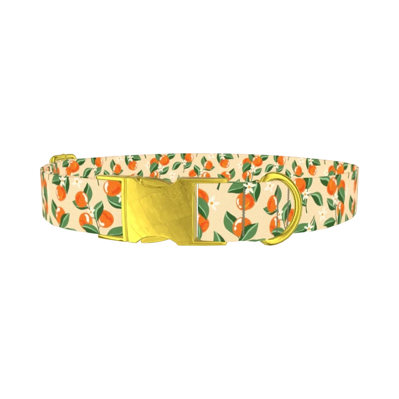 Floral Fruit Dog Collar - metal gold