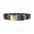Zigzag Rainbow Dog Collar - metal silver