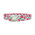 Red Floral Dog Collar - plastic silver