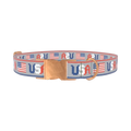 Patriotic USA Flag Dog Collar - metal rose gold