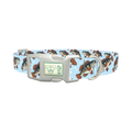 Bass Fish Dog Collar - plastic silver