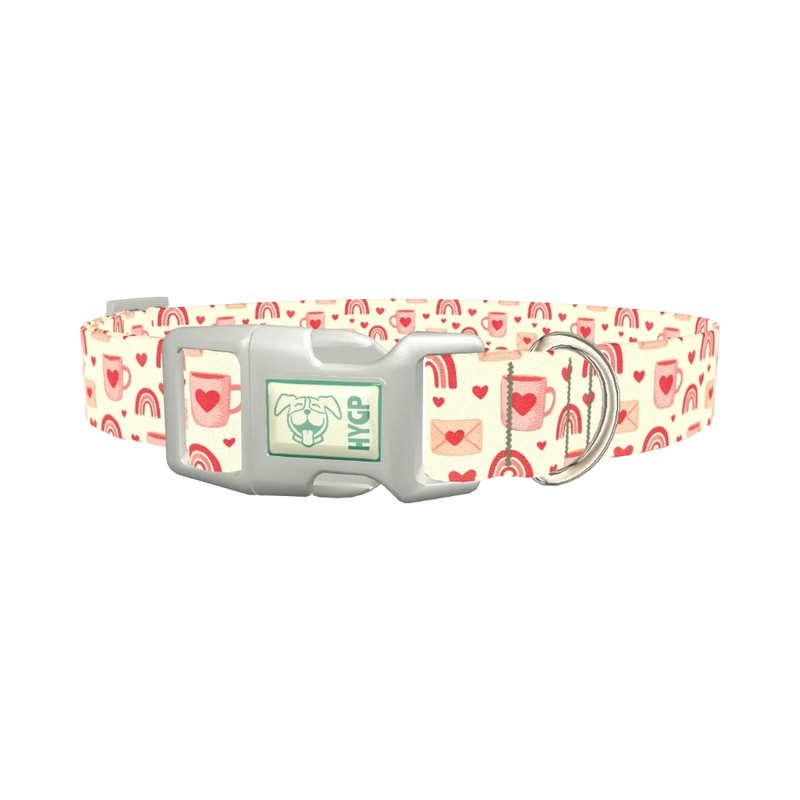 Valentine Mug and Envelope Dog Collar - plastic silver