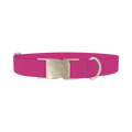 Smitten Color Dog Collar - metal silver