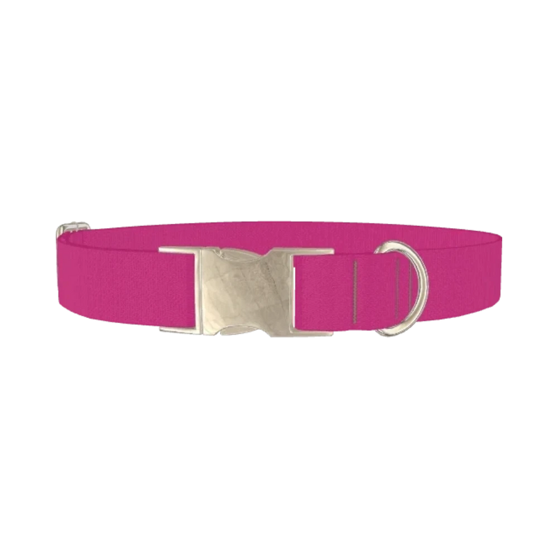 Smitten Color Dog Collar - metal silver