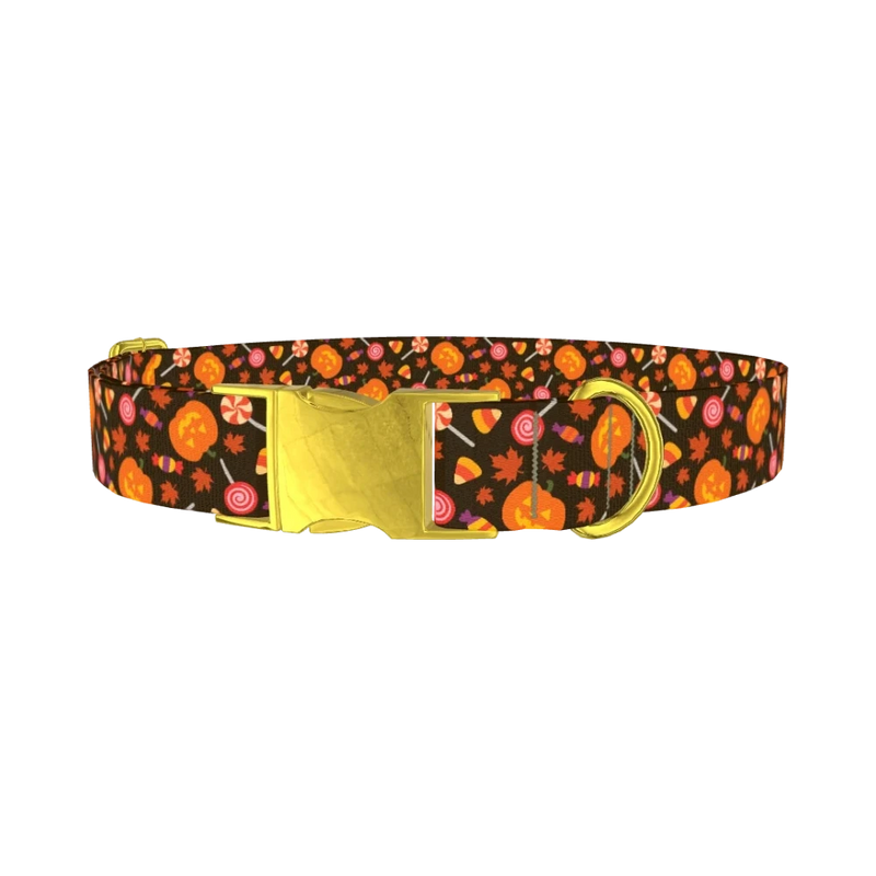 Halloween Candy Pumpkin Dog Collar - metal gold