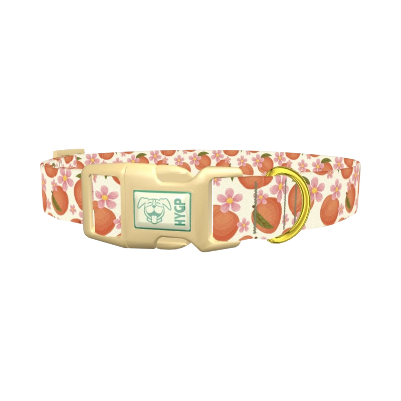 Peach Floral Dog Collar - plastic gold