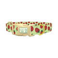 Strawberry Pattern Dog Collar - plastic gold
