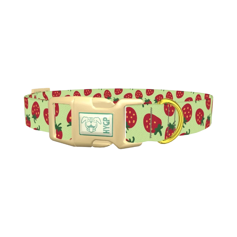 Strawberry Pattern Dog Collar - plastic gold