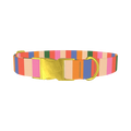 Colorful Stripe Pattern Dog Collar - metal gold
