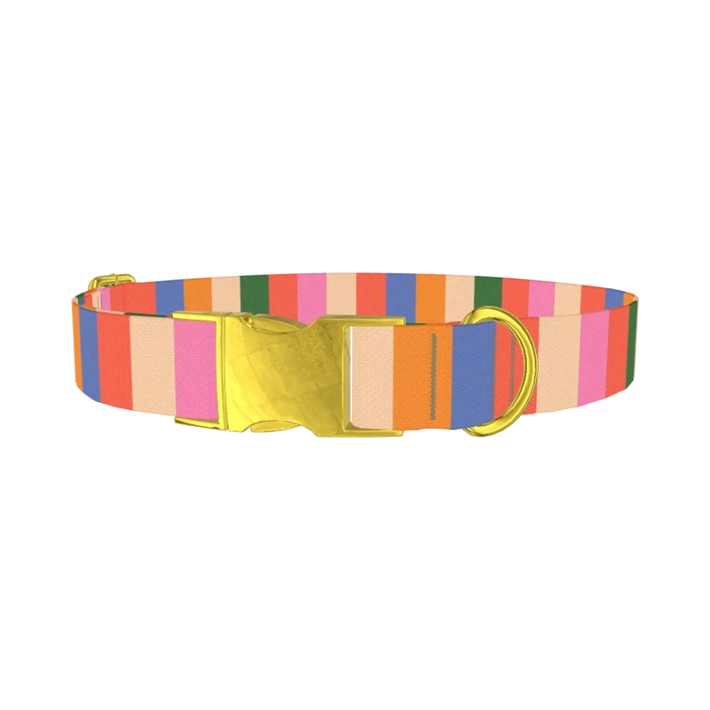 Colorful Stripe Pattern Dog Collar - metal gold