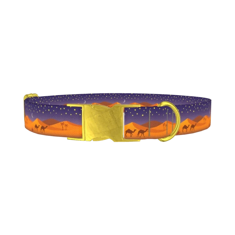 Desert Night Dog Collar - metal gold