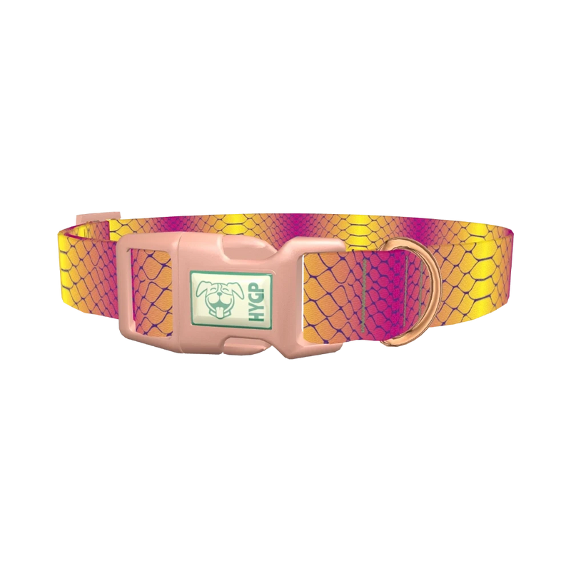 Colorful Snake Skin Dog Collar - plastic rose gold