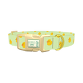 Rubber Duckies Dog Collar - plastic gold