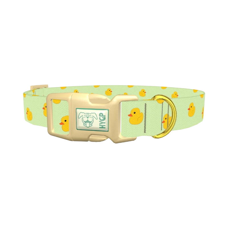 Rubber Duckies Dog Collar - plastic gold