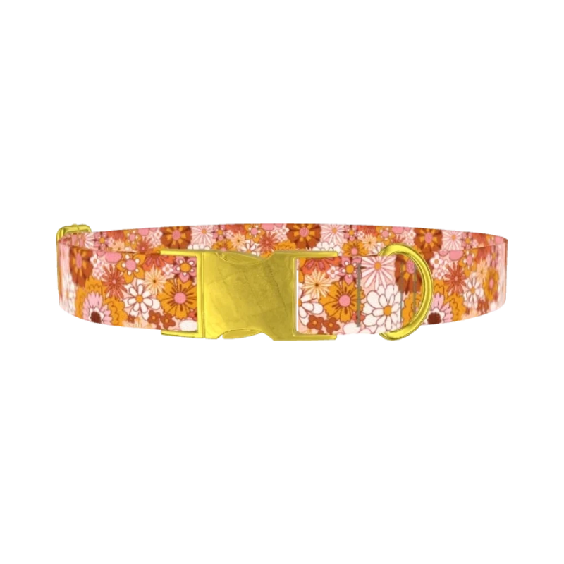 Retro Flower Burst Dog Collar - metal gold