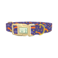Space Comet Dog Collar - plastic gold